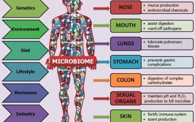 Can’t sleep? Could your gut be keeping you awake? - Fawcett Mattress